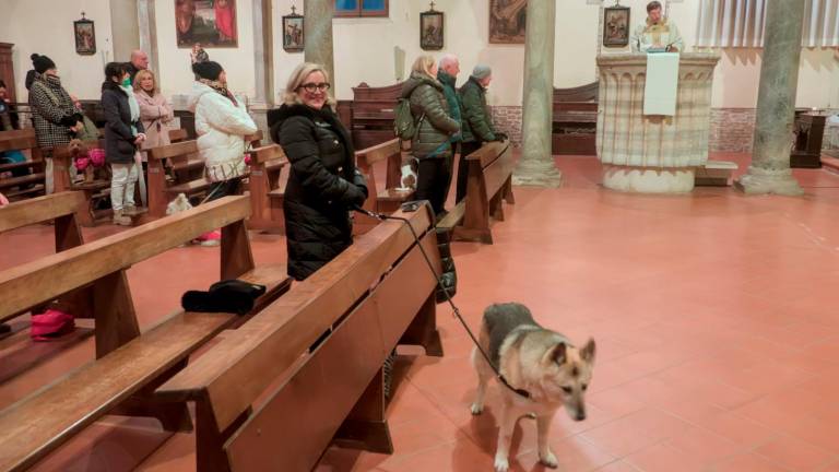 Ravenna, la benedizione degli animali a Sant’Antonio Abate - Gallery Ravenna, la benedizione degli animali a Sant’Antonio Abate - Gallery