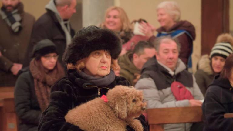 Ravenna, la benedizione degli animali a Sant’Antonio Abate - Gallery Ravenna, la benedizione degli animali a Sant’Antonio Abate - Gallery