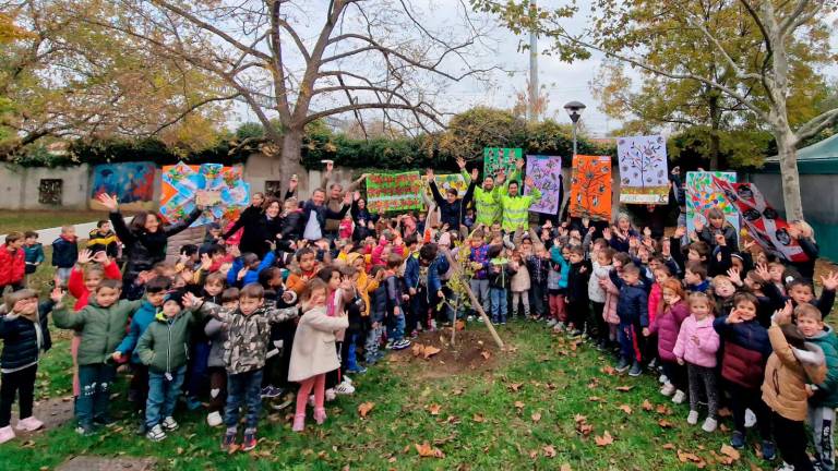 Faenza. La Festa degli alberi celebrata in quattro scuole del territorio Faenza. La Festa degli alberi celebrata in quattro scuole del territorio