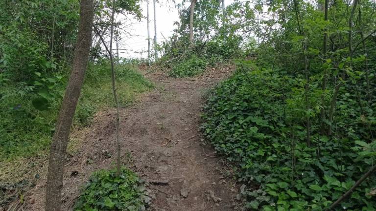 Imola, Legambiente: Parco delle Acque Minerali danneggiato dalla Formula Uno Imola, Legambiente: Parco delle Acque Minerali danneggiato dalla Formula Uno