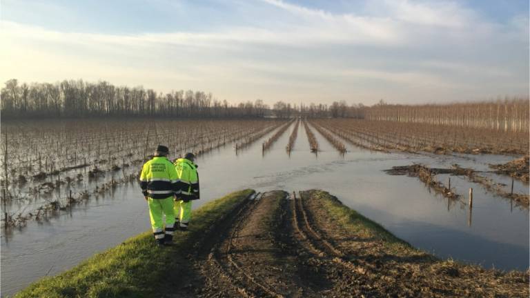 Alluvione in Romagna e agricoltura, Copagri: Danni per decine di milioni di euro, sospendere i mutui Alluvione in Romagna e agricoltura, Copagri: Danni per decine di milioni di euro, sospendere i mutui