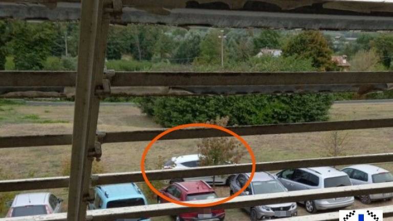 Faenza, travestito da runner ruba nelle auto dei podisti Faenza, travestito da runner ruba nelle auto dei podisti