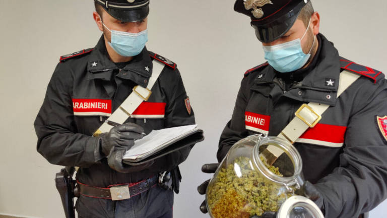 Forlì, deve scontare tre anni: trovato con bazar della droga Forlì, deve scontare tre anni: trovato con bazar della droga