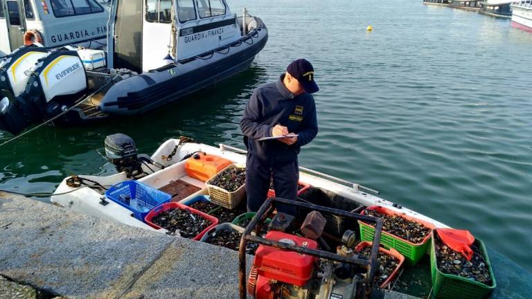 Sorpresi a pescare vongole nel porto di Ravenna, sequestrati 300 kg di molluschi Sorpresi a pescare vongole nel porto di Ravenna, sequestrati 300 kg di molluschi