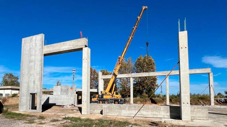 Misano. Ripresi i lavori al nuovo palazzetto: in corso la posa del prefabbricato Misano. Ripresi i lavori al nuovo palazzetto: in corso la posa del prefabbricato