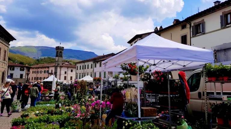 San Piero in Bagno: Festinval 2023 torna dal 16 settembre San Piero in Bagno: Festinval 2023 torna dal 16 settembre
