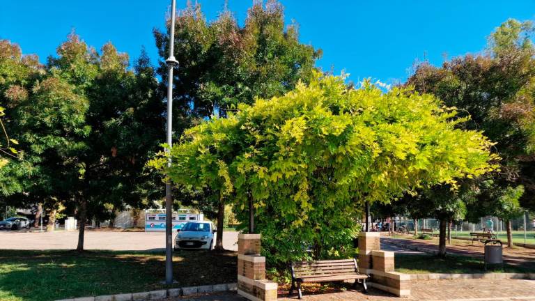 Riccione, quartiere Fontanelle: attiva la videosorveglianza Riccione, quartiere Fontanelle: attiva la videosorveglianza