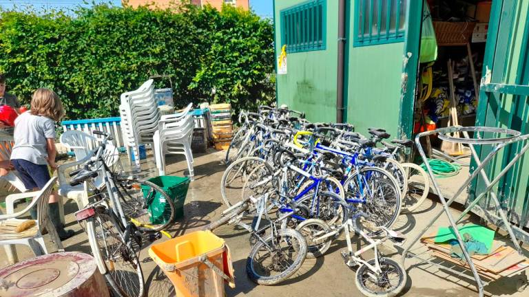 Faenza, la Ciclistica Faentina: “Grazie di cuore a chi ci ha aiutato dopo l’alluvione” Faenza, la Ciclistica Faentina: “Grazie di cuore a chi ci ha aiutato dopo l’alluvione”