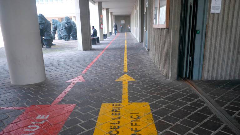 Ravenna, diffamò la casa di riposo: «Sedano gli anziani coi farmaci». Condannata ex dipendente Ravenna, diffamò la casa di riposo: «Sedano gli anziani coi farmaci». Condannata ex dipendente