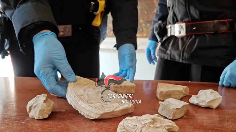 Trova dei frammenti e spedisce le foto alla figlia archeologa: “Non toccare niente, chiama i Carabinieri”. Potenziali tesori culturali scoperti a Imola Trova dei frammenti e spedisce le foto alla figlia archeologa: “Non toccare niente, chiama i Carabinieri”. Potenziali tesori culturali scoperti a Imola
