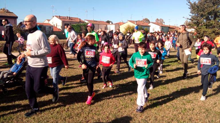 Maratona Ravenna Città d’Arte 2023: la corsa dei cani dopo una Family Run con oltre 2000 partecipanti - VIDEO GALLERY Maratona Ravenna Città d’Arte 2023: la corsa dei cani dopo una Family Run con oltre 2000 partecipanti - VIDEO GALLERY