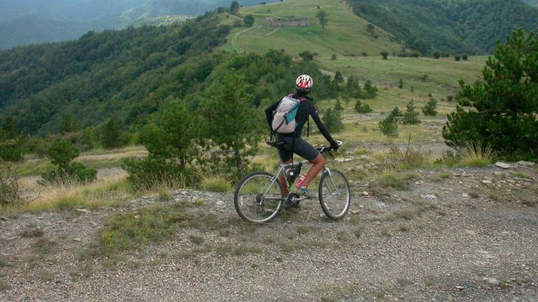 Percorsi nel parco per le bici