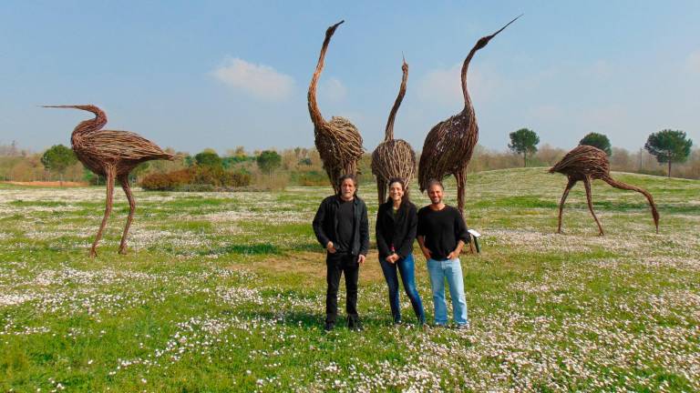 Cesena, spuntano cinque aironi giganti al parco Ippodromo degli artisti Matteo Lucca e Oscar Dominguez Cesena, spuntano cinque aironi giganti al parco Ippodromo degli artisti Matteo Lucca e Oscar Dominguez