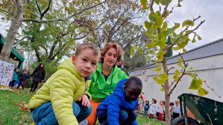 Faenza. La Festa degli alberi celebrata in quattro scuole del territorio Faenza. La Festa degli alberi celebrata in quattro scuole del territorio