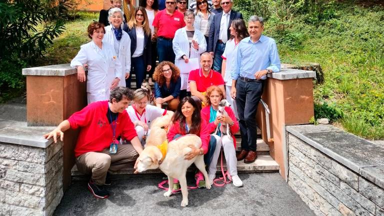 Il salto di qualità di Cesena: la Pet Therapy e il gatto in reparto anche alla Geriatria del Bufalini Il salto di qualità di Cesena: la Pet Therapy e il gatto in reparto anche alla Geriatria del Bufalini