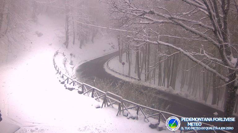 La webcam di questa mattina a Campigna allo chalet Burraia (foto Meteo Pedemontana Forlivese) La webcam di questa mattina a Campigna allo chalet Burraia (foto Meteo Pedemontana Forlivese)