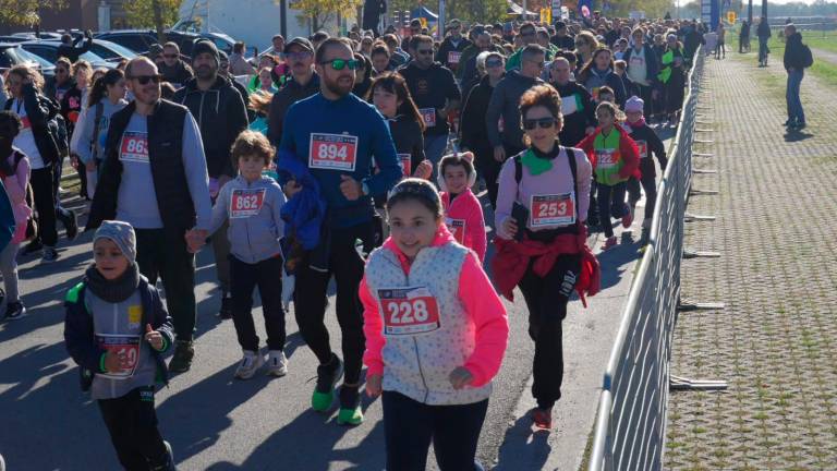 Maratona Ravenna Città d’Arte 2023: la corsa dei cani dopo una Family Run con oltre 2000 partecipanti - VIDEO GALLERY Maratona Ravenna Città d’Arte 2023: la corsa dei cani dopo una Family Run con oltre 2000 partecipanti - VIDEO GALLERY