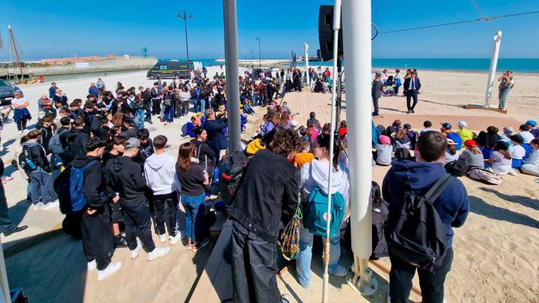 Rimini, “Giornata del Mare”: la tartaruga marina Bruno torna libera tra gli applausi degli studenti - Gallery Rimini, “Giornata del Mare”: la tartaruga marina Bruno torna libera tra gli applausi degli studenti - Gallery