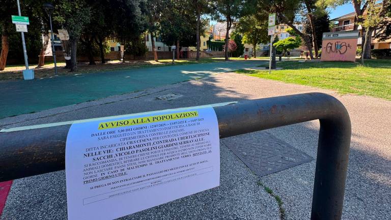 Zanzare a Cesena, disposte le disinfestazioni Zanzare a Cesena, disposte le disinfestazioni