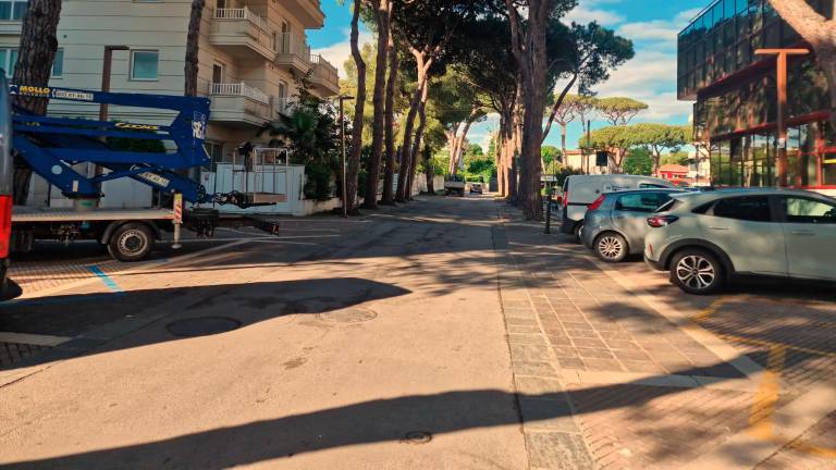 Riccione. Quattro nuove aiuole con pini d’Aleppo in viale Corridoni Riccione. Quattro nuove aiuole con pini d’Aleppo in viale Corridoni