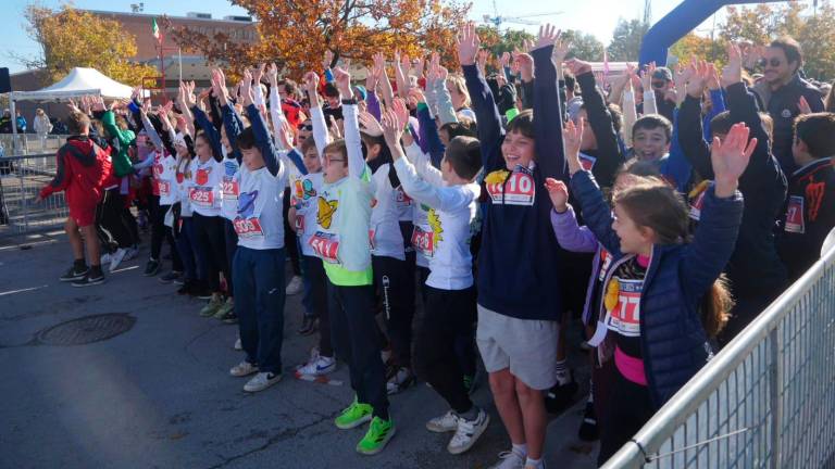 Maratona Ravenna Città d’Arte 2023: la corsa dei cani dopo una Family Run con oltre 2000 partecipanti - VIDEO GALLERY Maratona Ravenna Città d’Arte 2023: la corsa dei cani dopo una Family Run con oltre 2000 partecipanti - VIDEO GALLERY