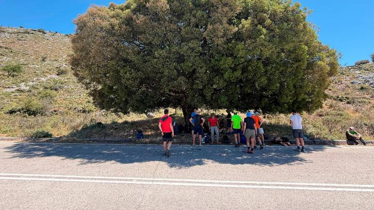 Pausa all’ombra di un albero (Foto di Alberto Gerini) Pausa all’ombra di un albero (Foto di Alberto Gerini)