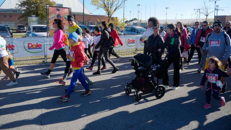 Maratona Ravenna Città d’Arte 2023: la corsa dei cani dopo una Family Run con oltre 2000 partecipanti - VIDEO GALLERY Maratona Ravenna Città d’Arte 2023: la corsa dei cani dopo una Family Run con oltre 2000 partecipanti - VIDEO GALLERY