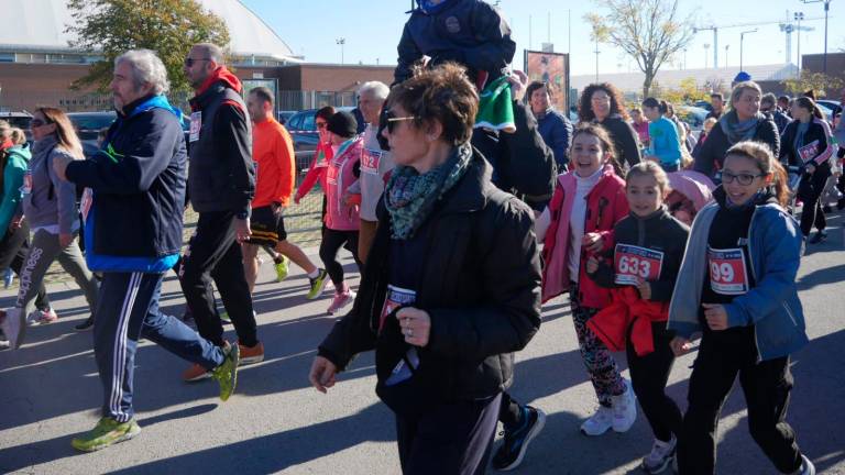 Maratona Ravenna Città d’Arte 2023: la corsa dei cani dopo una Family Run con oltre 2000 partecipanti - VIDEO GALLERY Maratona Ravenna Città d’Arte 2023: la corsa dei cani dopo una Family Run con oltre 2000 partecipanti - VIDEO GALLERY