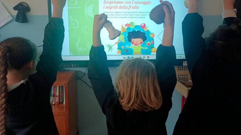 Cesenatico, al Primo Circolo un intenso anno scolastico con iniziative dedicate a salute, inclusione e solidarietà Cesenatico, al Primo Circolo un intenso anno scolastico con iniziative dedicate a salute, inclusione e solidarietà