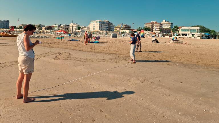 Prima volta nella storia: tartaruga Caretta caretta nidifica a Riccione. VIDEO Prima volta nella storia: tartaruga Caretta caretta nidifica a Riccione. VIDEO