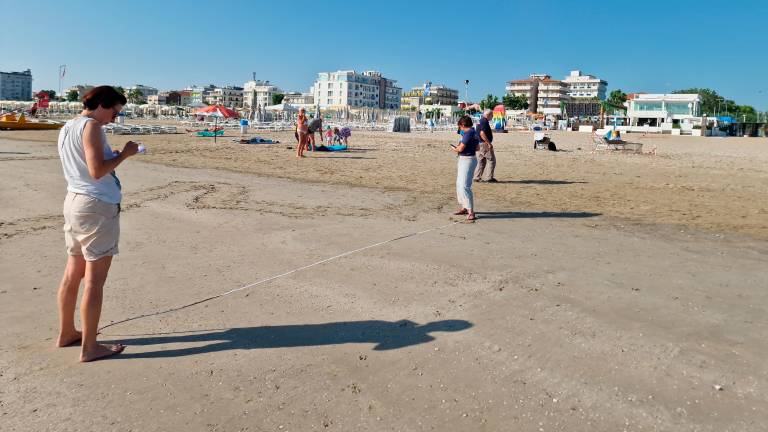 Riccione, nido tartarughe, si cercano volontari per controllarlo 24 ore su 24 GALLERY Riccione, nido tartarughe, si cercano volontari per controllarlo 24 ore su 24 GALLERY