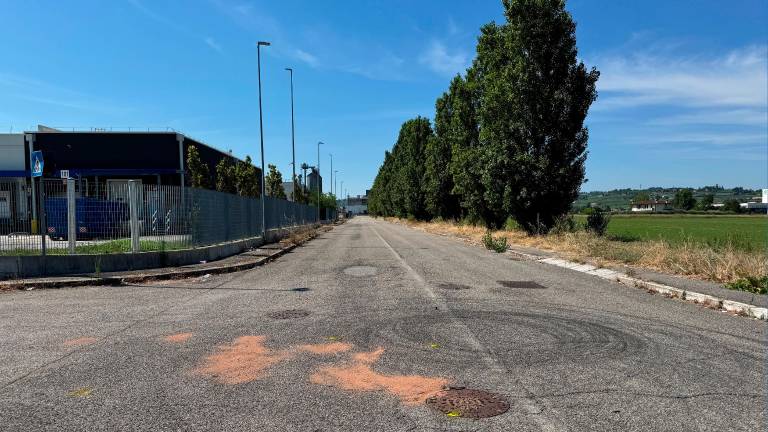 Corse clandestine di notte in scooter a Longiano: è morto il 16enne di Cesenatico Corse clandestine di notte in scooter a Longiano: è morto il 16enne di Cesenatico