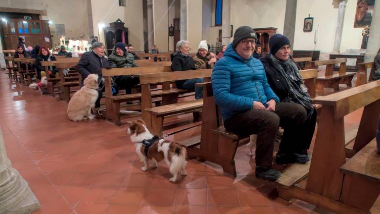 Ravenna, la benedizione degli animali a Sant’Antonio Abate - Gallery Ravenna, la benedizione degli animali a Sant’Antonio Abate - Gallery