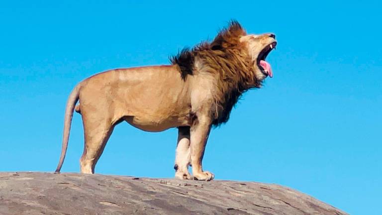 Viaggio in Tanzania, cosa sapere prima di partire Viaggio in Tanzania, cosa sapere prima di partire