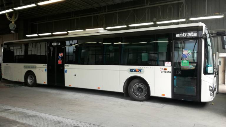 Forlì, vandalismo e spaccio sul bus, arrivano i cani antidroga sulla linea 132: disposte due espulsioni Forlì, vandalismo e spaccio sul bus, arrivano i cani antidroga sulla linea 132: disposte due espulsioni
