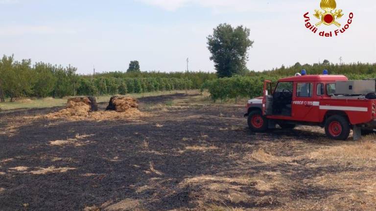 Forlì. Incendio in un campo a Villagrappa Forlì. Incendio in un campo a Villagrappa