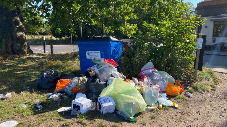 Santarcangelo, tre fototrappole per beccare chi abbandona i rifiuti Santarcangelo, tre fototrappole per beccare chi abbandona i rifiuti
