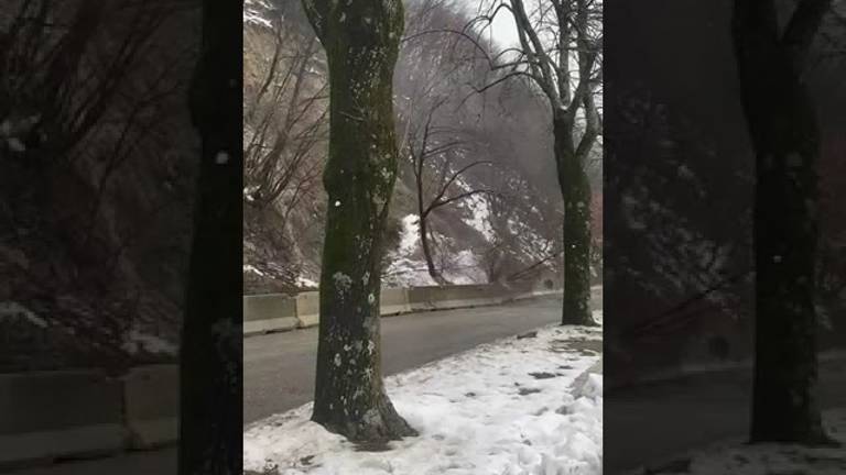 Frana tra San Piero e Bagno di Romagna, il sindaco Baccini: Critiche offensive per chi lavora con grande impegno VIDEO Frana tra San Piero e Bagno di Romagna, il sindaco Baccini: Critiche offensive per chi lavora con grande impegno VIDEO