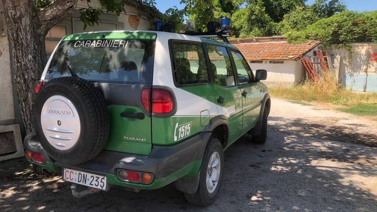 Bracconaggio: 3 patteggiamenti e un poliziotto assolto Bracconaggio: 3 patteggiamenti e un poliziotto assolto