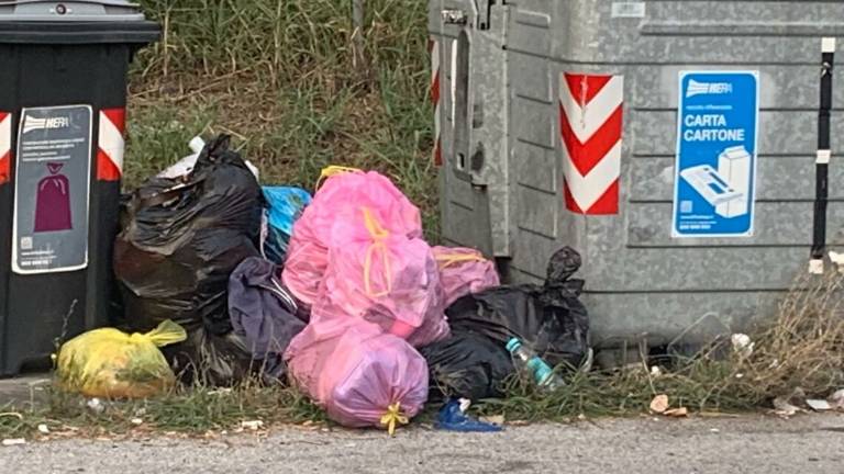Rifiuti abbandonati a Borello: la Lega di Cesena chiede interventi Rifiuti abbandonati a Borello: la Lega di Cesena chiede interventi