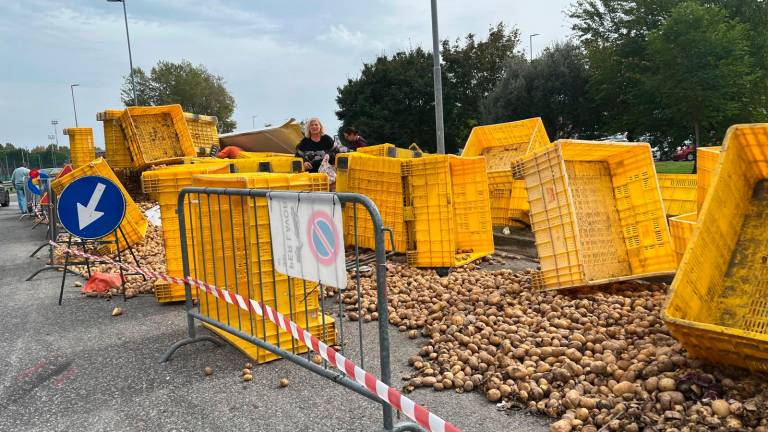 Riccione, si ribalta il Tir carico di patate: scatta la raccolta per riempire le borse VIDEO GALLERY Riccione, si ribalta il Tir carico di patate: scatta la raccolta per riempire le borse VIDEO GALLERY