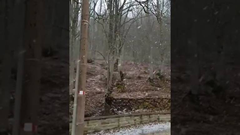 Meteo Romagna, un lunedì col sole dopo una Pasqua con fiocchi di neve sull'Appennino VIDEO Meteo Romagna, un lunedì col sole dopo una Pasqua con fiocchi di neve sull'Appennino VIDEO