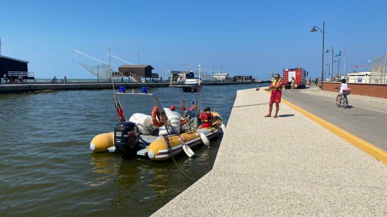 Cesenatico, mare scuro per microalga innocua per l'uomo Cesenatico, mare scuro per microalga innocua per l'uomo