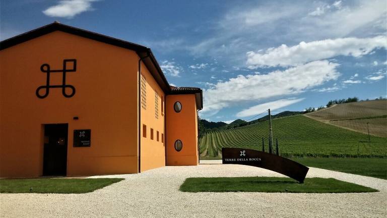 Le nuove vigne che cambiano il paesaggio sui colli di Riolo Terme Le nuove vigne che cambiano il paesaggio sui colli di Riolo Terme