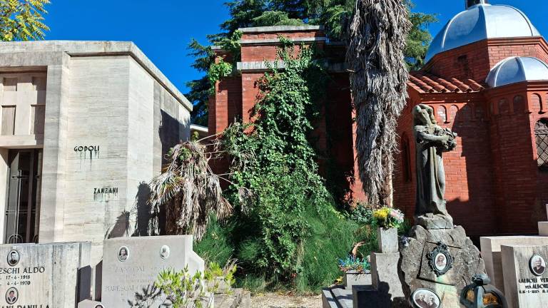 Forlì. “Fili elettrici tra le lapidi e incuria al cimitero” - GALLERY Forlì. “Fili elettrici tra le lapidi e incuria al cimitero” - GALLERY