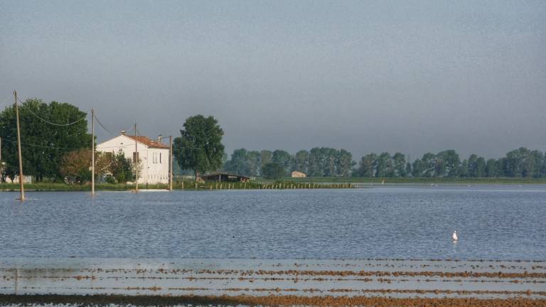 Venti bombe d'acqua in un giorno in Emilia-Romagna: danni per milioni di euro Venti bombe d'acqua in un giorno in Emilia-Romagna: danni per milioni di euro