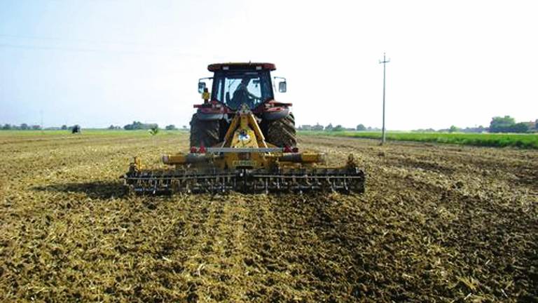 Cervia. L’intelligenza artificiale alleata dell’agroalimentare Cervia. L’intelligenza artificiale alleata dell’agroalimentare