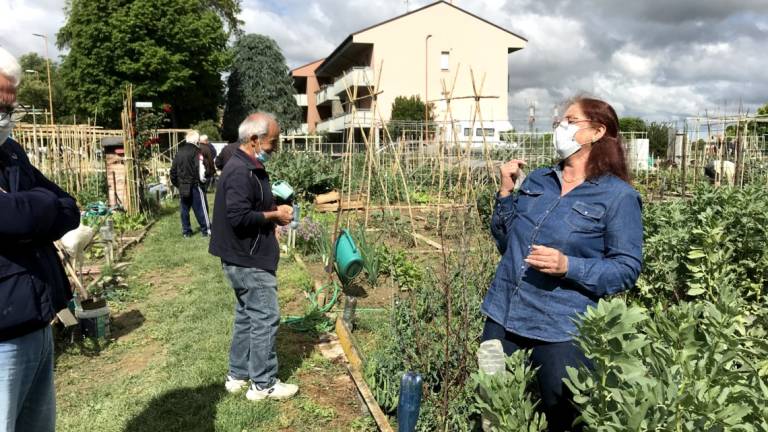 Cesena, l'istituto agrario partner tecnico per i 490 orti comunali Cesena, l'istituto agrario partner tecnico per i 490 orti comunali