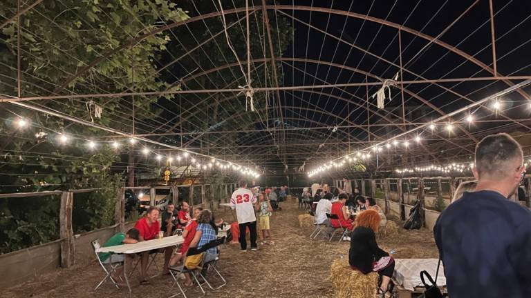 Viserbella. L’area delle vecchie serre diventa la sede di feste ed eventi Viserbella. L’area delle vecchie serre diventa la sede di feste ed eventi