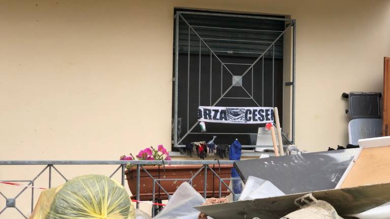 Tifare il Cesena e tifare Cesena sono la stessa cosa Tifare il Cesena e tifare Cesena sono la stessa cosa